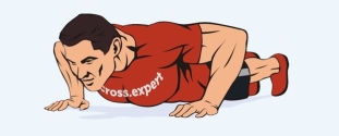 Cross Expert