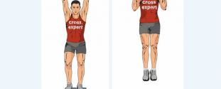 Cross Expert