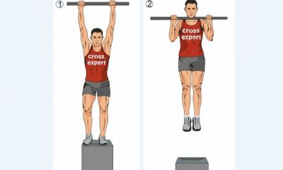 Cross Expert