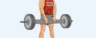 Cross Expert