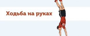 Cross Expert