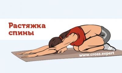 Cross Expert