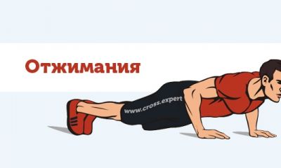 Cross Expert