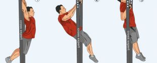 Cross Expert