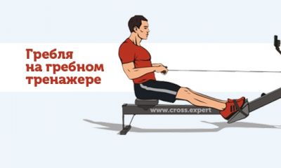 Cross Expert