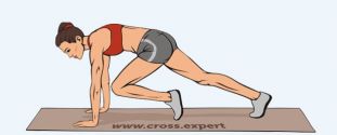 Cross Expert