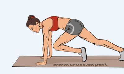 Cross Expert