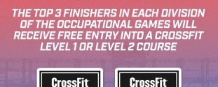 Cross Expert