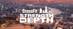 Cross Expert