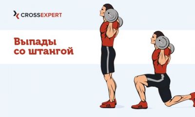 Cross Expert