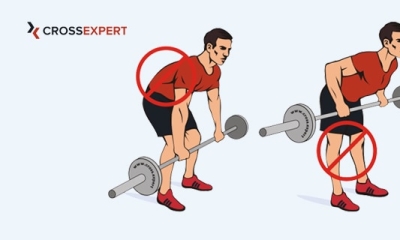 Cross Expert