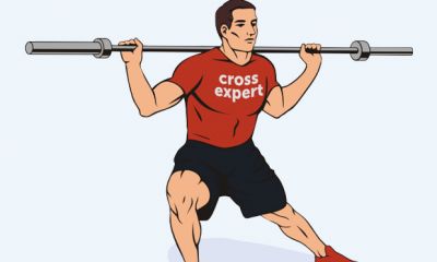 Cross Expert