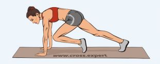 Cross Expert