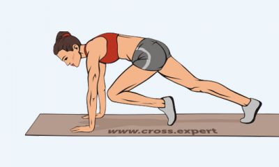 Cross Expert
