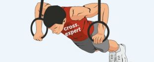 Cross Expert