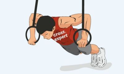Cross Expert