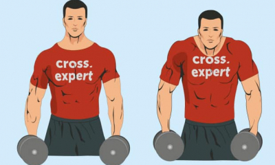 Cross Expert