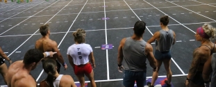 Cross Expert