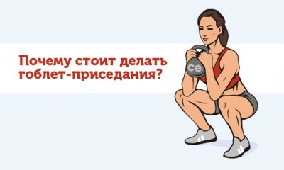 Cross Expert
