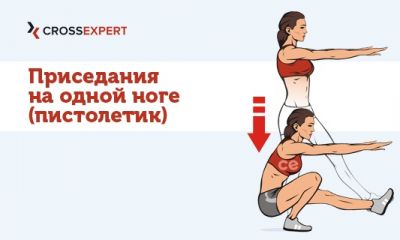 Cross Expert