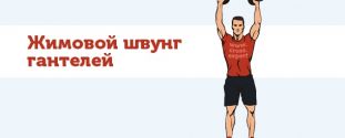 Cross Expert