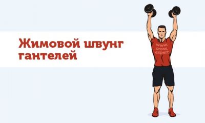 Cross Expert