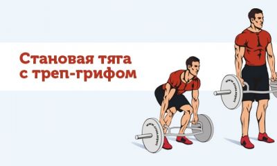 Cross Expert