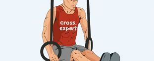 Cross Expert
