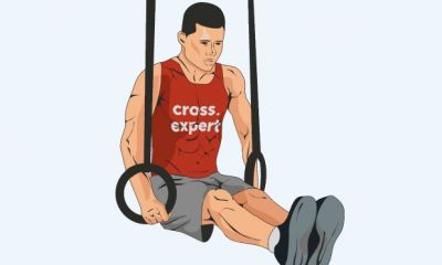Cross Expert