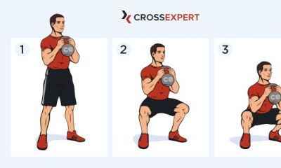 Cross Expert