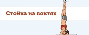 Cross Expert