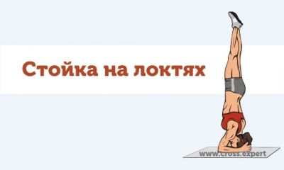 Cross Expert