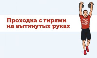 Cross Expert