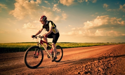 Cross Expert