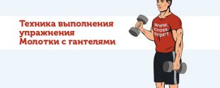 Cross Expert