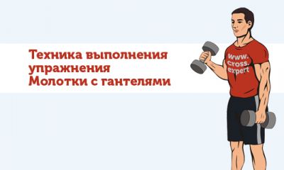 Cross Expert