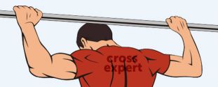 Cross Expert