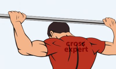 Cross Expert