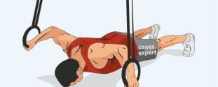 Cross Expert