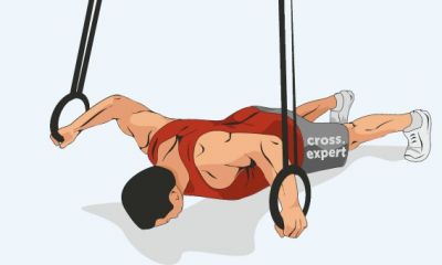 Cross Expert
