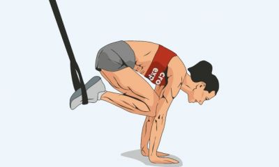 Cross Expert