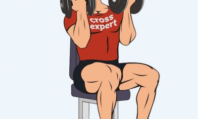 Cross Expert