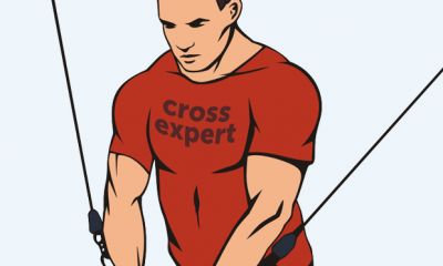 Cross Expert