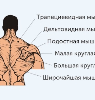 Совет