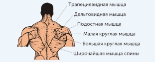 Cross Expert