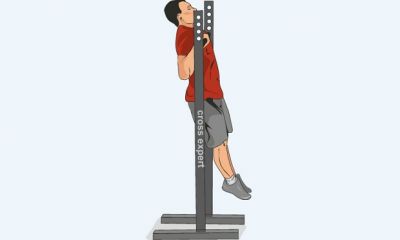 Cross Expert