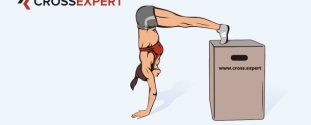 Cross Expert