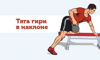 Cross Expert