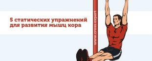 Cross Expert