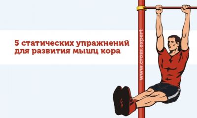 Cross Expert